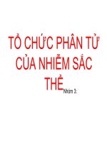 TỔ CHỨC PHÂN TỬ CỦA NHIỄM SẮC THỂ