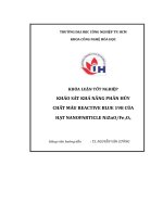 Khảo sát khả năng phân hủy chất màu reactive blue 198 của hạt nano composite NiZnO-Fe3O4