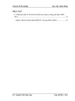 Giải pháp hoàn thiện hệ thống phân phối tại công ty cổ phần sản xuất và Thương mại Không Gian Việt