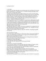 tìm hiểu Lý thuyết về NAT