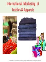 International Marketing Textiles and Garments
