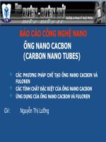 BÁO CÁO CÔNG NGHỆ NANO ỐNG NANO CACBON (CARBON NANO TUBES)