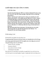 Môi trường vĩ mô công ty pepsi.DOC