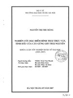Nghiên cứu đặc điểm hình thái thực vật, tinh dầu của cây gừng gió thái nguyên