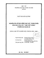 Nghiên cứu đặc điểm thực vật, thành phần hóa học của cây tam thất gừng ở miền núi nghệ an