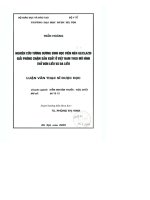 Nghiên cứu tương đương sinh học viên nén gliclazid giải phóng chậm sản xuất ở việt nam theo mô hình thử đơn liều và đa liều