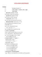 Ngữ pháp và bài tập tiếng Anh lớp 8 HKII (With key)