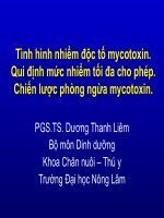 Bài giảng Tình hình nhiễm độc tố mycotoxin