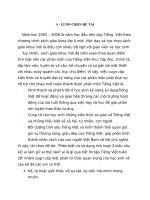 SKKN Giúp học sinh sử dụng thành thạo 3 loại câu kể