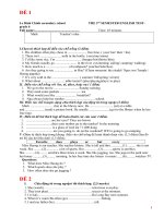 Bộ đề ôn thi HKII tiếng Anh lớp 6