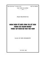 Hoàn thiện tổ chức công tác kế toán trong các doanh nghiệp thuộc Tập đoàn Dệt May Việt Nam