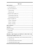 Đề tài tìm hiểu thực trạng thương vụ thâu tóm và sáp nhập doanh nghiệp ở việt nam giai đoạn 2010 2012