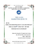 Tiểu luận marketing quốc tế chiến lược marketing quốc tế   đưa sản phẩm quýt hồng lai vung®   đồng tháp   việt nam thâm nhập vào thị trường mỹ