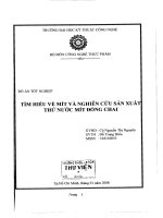 Tìm hiểu và nghiên cứu sản xuất thử nước mít đóng chai