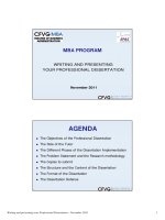 Writing and Presenting your Professional Dissertation - MBA