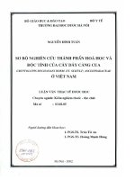 Sơ bộ nghiên cứu thành phần hóa học và độc tính của cây càng cua ở việt nam