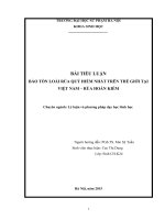 Tiểu luận bảo tồn loài rùa quý hiếm nhất trên thế giới tại việt nam – rùa hoàn kiếm