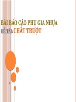 Bài báo cáo phụ gia nhựa đề tài chất trượt