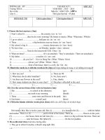 Hướng dẫn ôn thi HKI tiếng Anh lớp 6