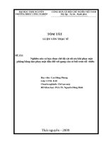Nghiên cứu và lựa chọn chế độ cắt tối ưu khi phay mặt phẳng bằng dao phay mặt đầu đối với gang cầu có bôi trơn tối  thiểu.DOC