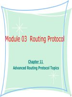 Tài liệu giảng dạy CCNA - module 03 chapter 11-Advanced Routing Protocol Topics
