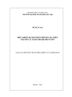Luận án tiến sĩ kỹ thuật Điều khiển dự báo phản hồi đầu ra theo nguyên lý tách cho hệ phi tuyến