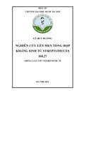 Nghiên cứu lên men sinh tổng hợp kháng sinh từ streptomyces 168 27