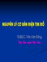 Các nguyên lý cơ bản về điện tâm đồ