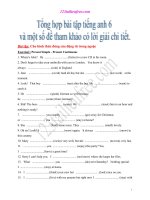 Tổng hợp bài tập tiếng anh lớp 6 có lời giải chi tiết