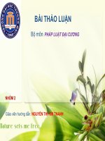 BÀI THẢO LUẬN Bộ môn PHÁP LUẬT ĐẠI CƯƠNG