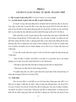 TIỂU LUẬN KINH DOANH QUỐC TẾ ĐẦU TƯ QUỐC TẾ GIÁN TIẾP FPI