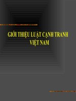 GIỚI THIỆU LUẬT CẠNH TRANH VIỆT NAM