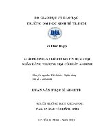 LUẬN VĂN THẠC SĨ : GIẢI PHÁP HẠN CHẾ RỦI RO TÍN DỤNG TẠI NGÂN HÀNG THƯƠNG MẠI CỔ PHẦN AN BÌNH