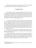 TRỐNG ĐỒNG VẬT “THIÊNG” CỦA NGƯỜI LẠC VIỆT - ÂU VIỆT TỔ TIÊN CHUNG CỦA NGƯỜI KINH VÀ NHÓM NGÔN NGỮ TÀY THÁI