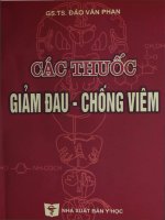 Các thuốc giảm đau, chống viêm