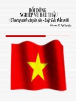 BỒI DƯỠNG NGHIỆP VỤ ĐẤU THẦU (CHƯƠNG TRÌNH CHUYÊN SÂU-LUẬT ĐẦU THẦU)