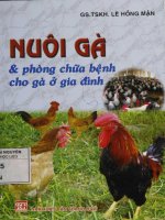 Nuôi gà & phòng chữa bệnh cho gà ở gia đình
