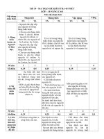 Giáo án Hóa học lớp 10 - Tiết 39 - MA TRẬN ĐỀ KIỂM TRA 45 PHÚT