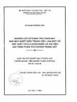 Nghiên cứu sử dụng tro than bay nhà máy nhịêt điện trong việc loại một số hợp chất cơ clo khỏi nước và cải tiến qui trình phân tích dioxin trong đất