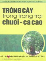 Trồng cây trong trang trại chuối, ca cao