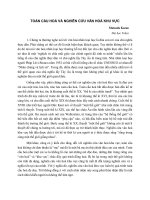 TOÀN CẦU HOÁ VÀ NGHIÊN CỨU VĂN HOÁ KHU VỰC