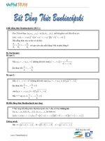 Ứng dụng của bất đẳng thức Bunhiacopski