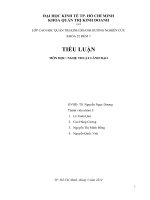 Tiểu luận môn nghệ thuật lãnh đạo chủ đề Kỹ năng thuyết phục