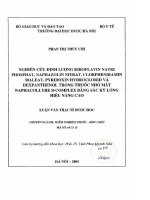 Nghiên cứu định lượng riboflavin natri phosphat natrazolin nitrat clorpheniramin maleat pyridoxin hydroclorid và dexphanthenol trong thuốc nhỏ mắt naphacollyre b   complex bằng sắc ký lỏng hiệu năng cao
