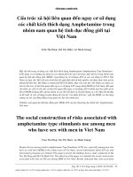 Cấu trúc xã hội liên quan đến nguy cơ sử dụng các chất kích thích dạng amphetamine trong nhóm nam quan hệ tình dục đồng giới tại việt nam