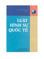 Luật hình sự quốc tế