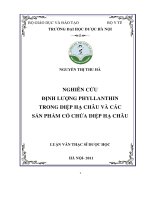 Nghiên cứu định lượng phyllanthin trong diệp hạ châu và các sản phẩm có chứa diệp hạ châu