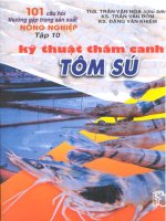101 câu hỏi thường gặp trong sản xuất nông nghiệp-Tập 10 Kỹ thuật thâm canh tôm sú