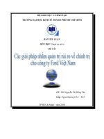 các giải pháp nhằm quản trị rủi ro về chính trị cho công ty ford việt nam
