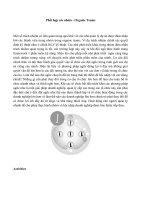 Phối hợp các nhóm - Organic Teams